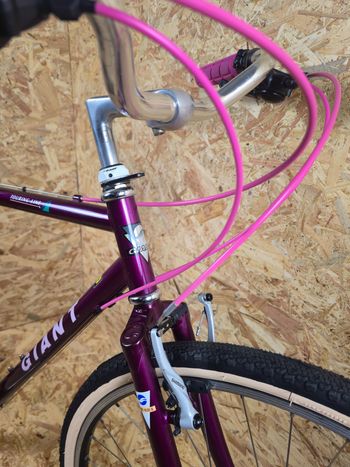 Used Giant Giant Cabriolet Vintage Steel Gravel / Commuter 1996 Urban, Purple — image 5 of 13