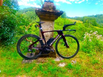 Used Specialized Shiv Shimano Ultegra Di2 (12 Speed) 2023 Road & Gravel