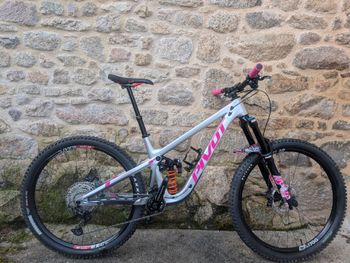 Used Pivot Firebird 29 Pro XT/XTR 2023 2023 MTB
