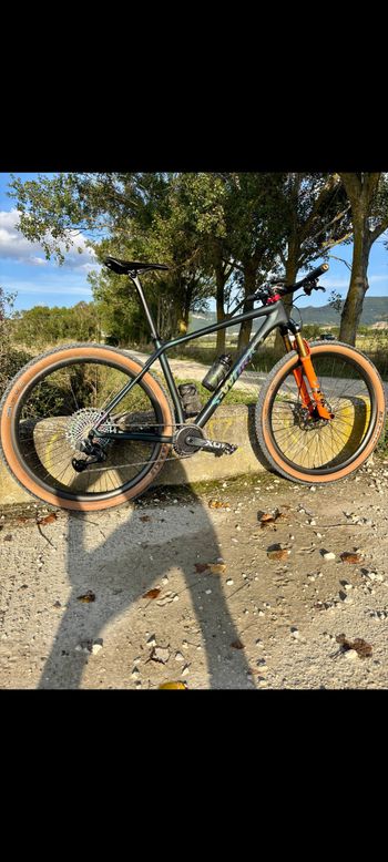 Used Specialized Specialized S-Works HT XTR 2021 Mountainbike — image 3 of 3