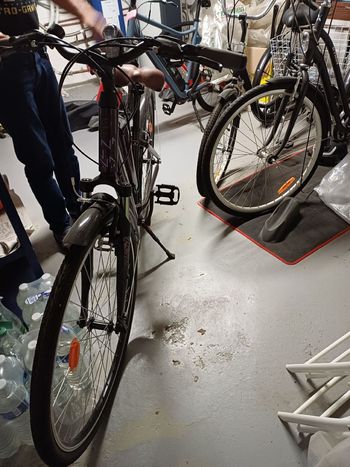 Used Intersport Intersport Custom Other SRAM 2024 Road & Gravel — image 3 of 3