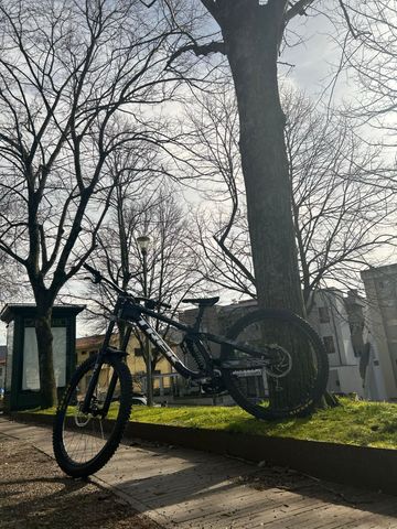 Brugt Trek Session AL Frameset 2024 Frameset 2024 Mountainbike — billede 5 af 6