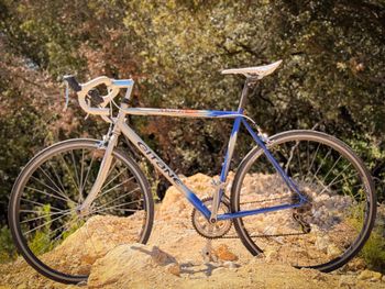 Used Gitane Gitane Custom Other Shimano 2001 Road & Gravel, Light Gray — image 4 of 5