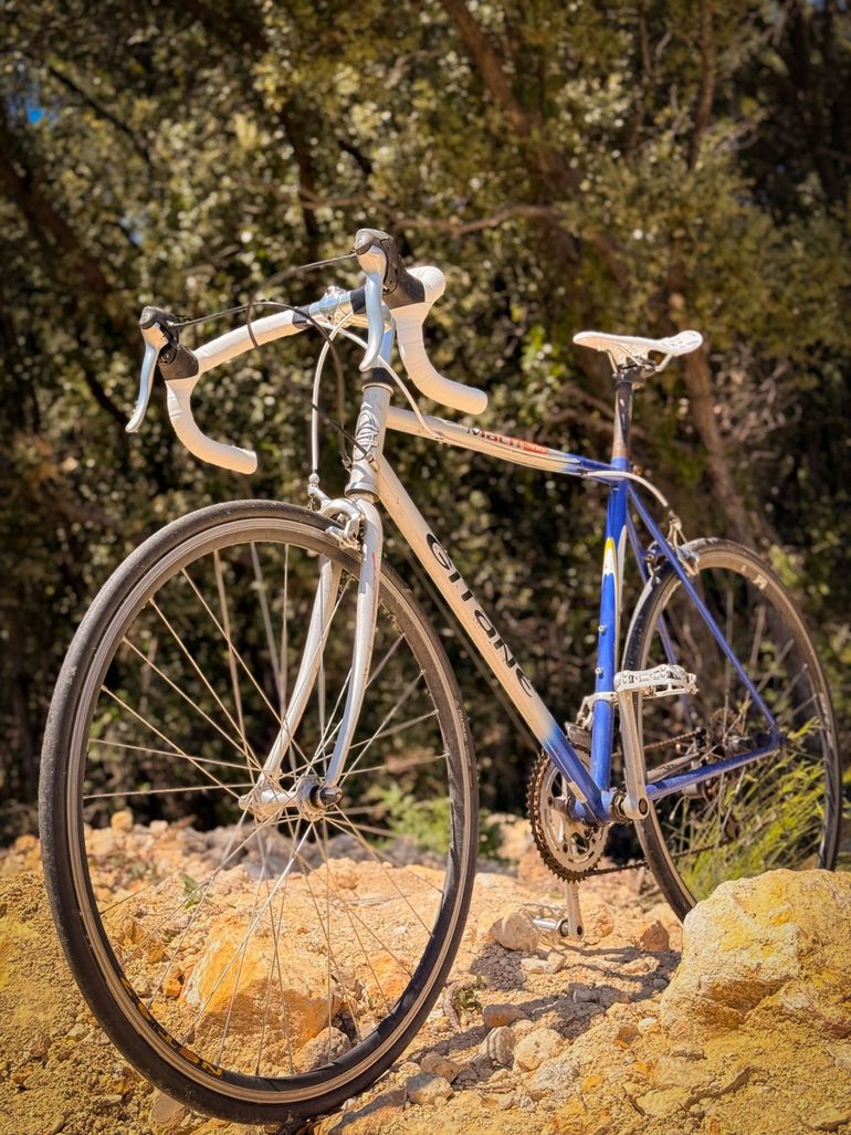 Used Gitane Gitane Custom Other Shimano 2001 Road & Gravel, Light Gray — image 1 of 5