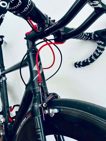 Used Simplon Pavo Other Campagnolo 2018 Road & Gravel — image 6 of 7
