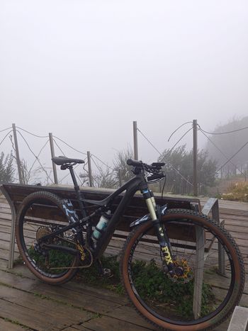 Used Specialized CAMBER FSR ELITE CARBON 29 2016 2016 Mountainbike, Black — image 3 of 3
