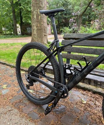 Used Trek Procaliber 9.5 Gen 2 2024 2024 Mountainbike, Light Gray, 29 — image 3 of 6
