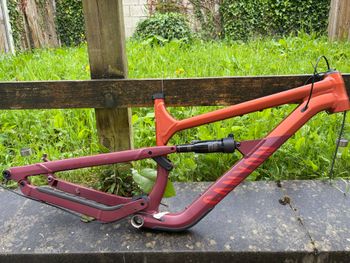 Used Canyon Spectral 125 AL 4 2025 Frameset 2025 MTB