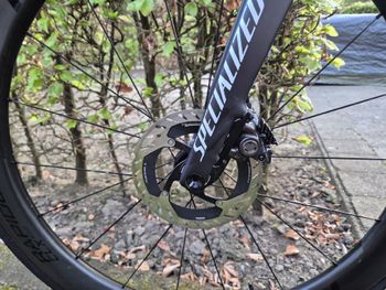 Used Specialized Specialized S Works Tarmac SL8 2024 Road & Gravel — image 8 of 10