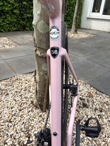 Used Specialized Tarmac SL7 Expert,  Originele Kleur Blush/Abalone 2022 Road & Gravel, White — image 6 of 6