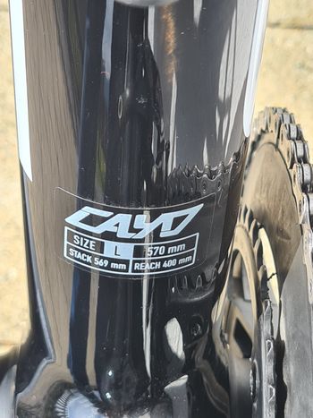 Used Focus Cayo Carbon, Mavic Carbon Laufräder 2017 Road & Gravel — image 2 of 18