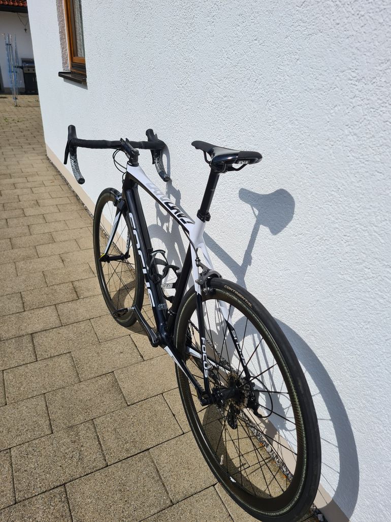 Used Focus Cayo Carbon, Mavic Carbon Laufräder 2017 Road & Gravel — image 13 of 18