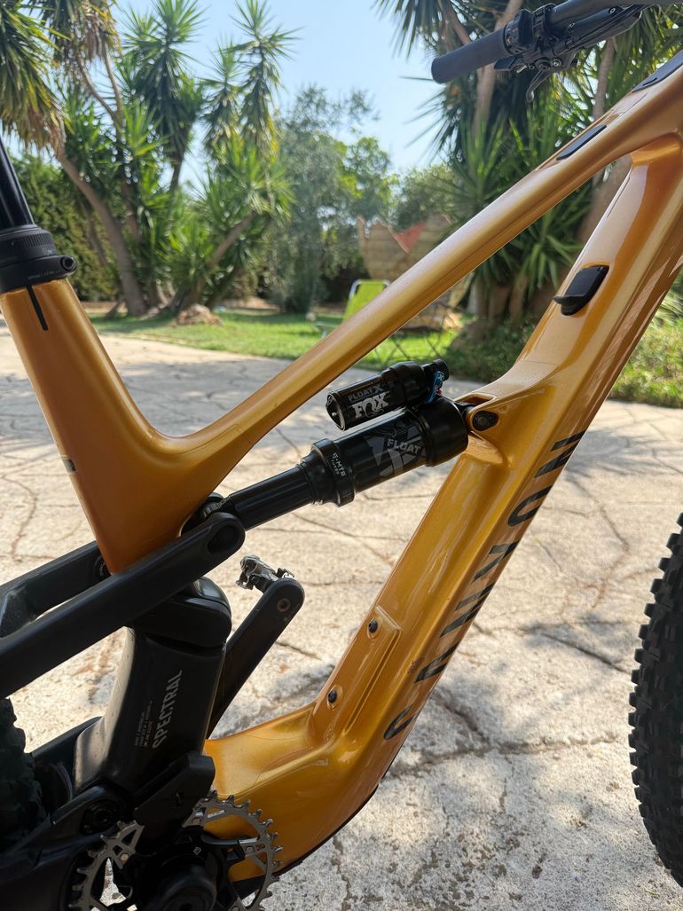 Brugt Canyon Spectral:ONfly CF CLLCTV 2025 2025 Mountainbike — billede 15 af 16