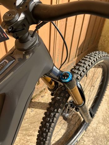 Used Radon RENDER 10.0 750 2024 2024 Mountainbike, Black — image 6 of 15