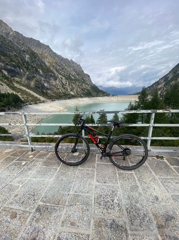 Used Wilier 101x Shimano GRX 2019 MTB