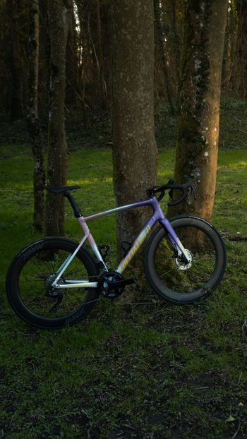 Used Specialized Allez Shimano 105 Di2 2025 Road & Gravel — image 8 of 8