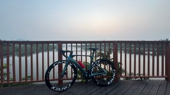 Used WIAWIS WAWS Frameset 2025 Road & Gravel, Green — image 2 of 3