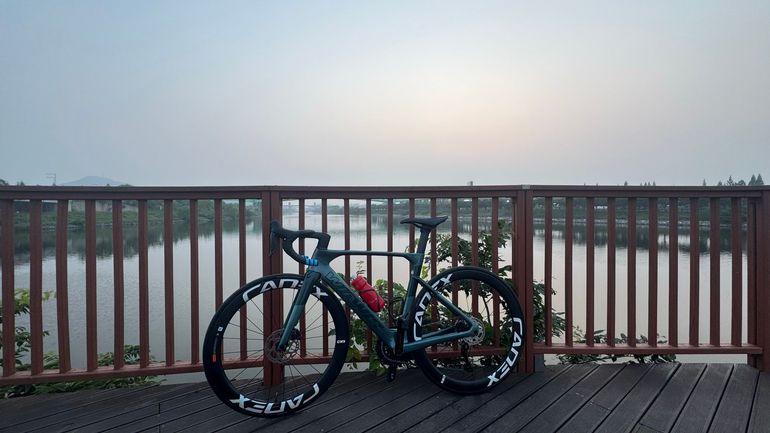 Used WIAWIS WAWS Frameset 2025 Road & Gravel, Green — image 2 of 3