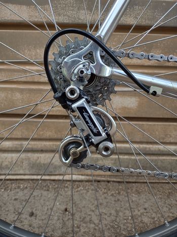 Used Bridgestone Custom Campagnolo Super Record 1989 Road & Gravel, Light Gray — image 4 of 19