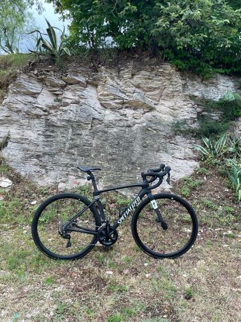 Used Specialized Roubaix 2023 2023 Road & Gravel
