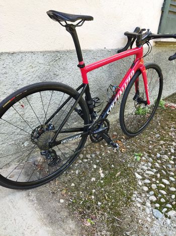 Used Specialized Tarmac SL6 Disc Comp 2023 2023 Road & Gravel, Red — image 2 of 26