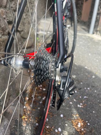 Used Olympia Olympia Custom Shimano Sora 2018 Road & Gravel, Black — image 5 of 9
