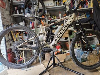 Used Focus SAM² 6.8 2022 2022 Mountainbike, Light Gray, 29 — image 4 of 8