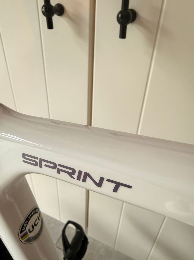 Used Bianchi Sprint 105 2025 2025 Road & Gravel, White — image 2 of 5