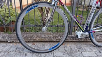 Used Colnago DECOR ANNI 90 1990 Road & Gravel, Purple — image 4 of 5