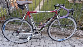 Used Colnago DECOR ANNI 90 1990 Road & Gravel, Purple — image 2 of 5