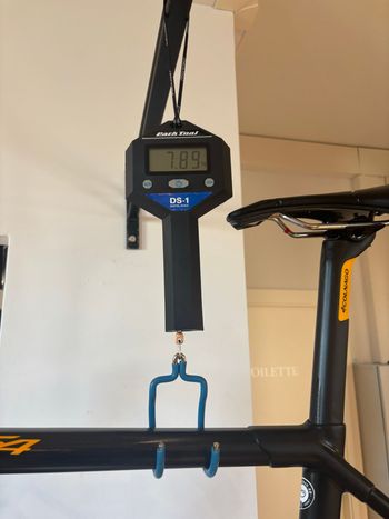 Used Colnago C64 Disc Daytona Pro+ Bike 2020 2020 Road & Gravel — image 7 of 11