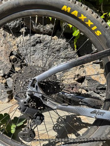 Used Olympia Olympia Performer 900 29” Anno 2020 2020 Mountainbike, Light Gray — image 6 of 9