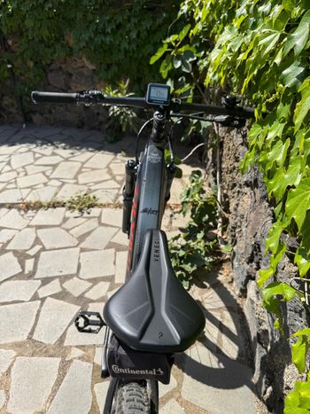 Used Olympia Olympia Performer 900 29” Anno 2020 2020 Mountainbike, Light Gray — image 5 of 9