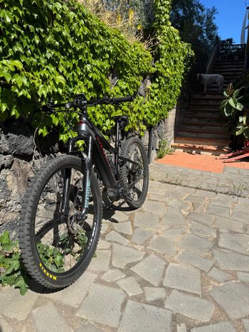 Used Olympia Olympia Performer 900 29” Anno 2020 2020 Mountainbike, Light Gray — image 3 of 9