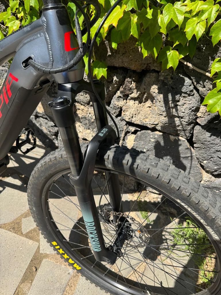 Used Olympia Olympia Performer 900 29” Anno 2020 2020 Mountainbike, Light Gray — image 7 of 9