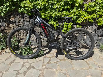 Used Olympia Olympia Performer 900 29” Anno 2020 2020 MTB