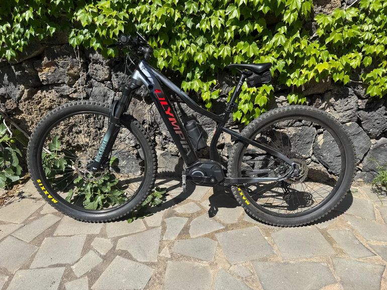 Used Olympia Olympia Performer 900 29” Anno 2020 2020 Mountainbike, Light Gray — image 1 of 9