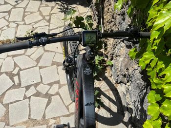 Used Olympia Olympia Performer 900 29” Anno 2020 2020 Mountainbike, Light Gray — image 9 of 9