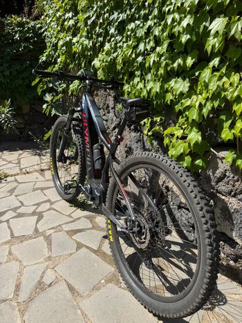 Used Olympia Olympia Performer 900 29” Anno 2020 2020 Mountainbike, Light Gray — image 4 of 9