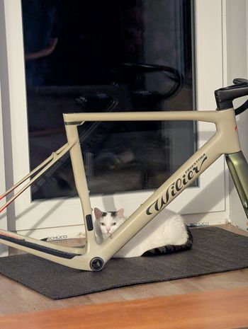 Used Wilier RAVE SLR SRAM FORCE AXS 2x12 WIDE 2022 Frameset 2022 Road & Gravel