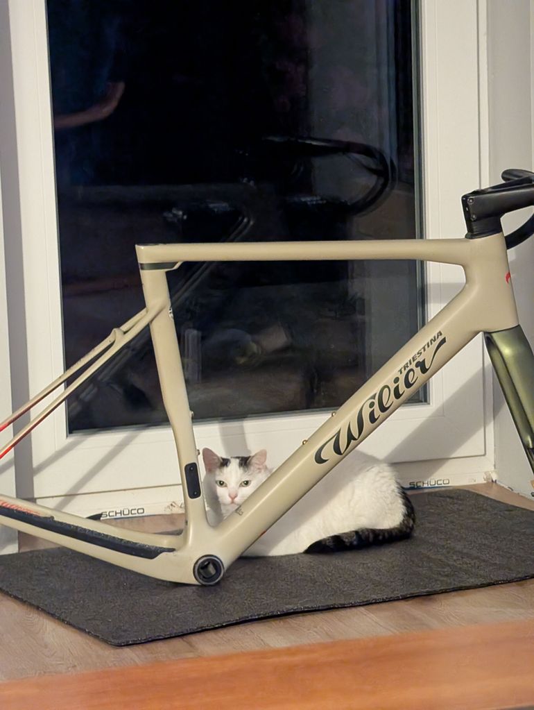 Used Wilier RAVE SLR SRAM FORCE AXS 2x12 WIDE 2022 Frameset 2022 Road & Gravel, Orange — image 1 of 11