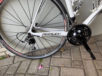 Used Ridley Helium Shimano 105 2019 Road & Gravel, White — image 3 of 12