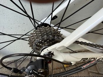 Used Ridley Helium Shimano 105 2019 Road & Gravel, White — image 5 of 12