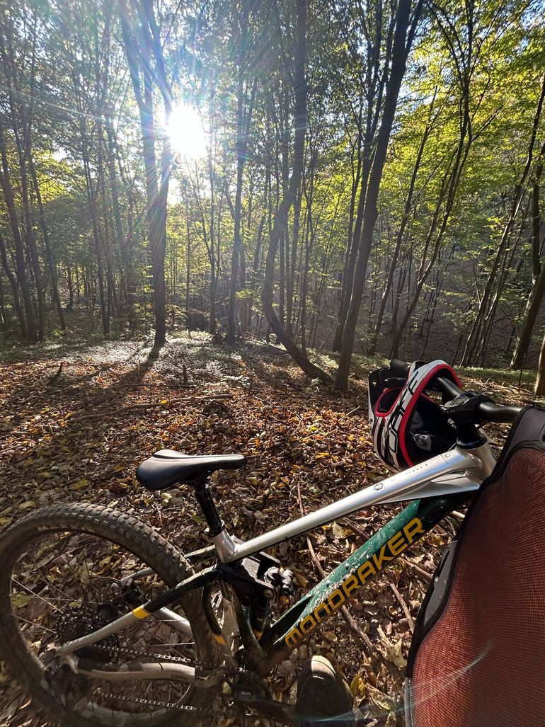 Used Mondraker SUPERFOXY R 2023 2023 Mountainbike, Green, 29 — image 13 of 15