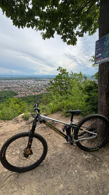 Used Mondraker SUPERFOXY R 2023 2023 Mountainbike, Green, 29 — image 15 of 15