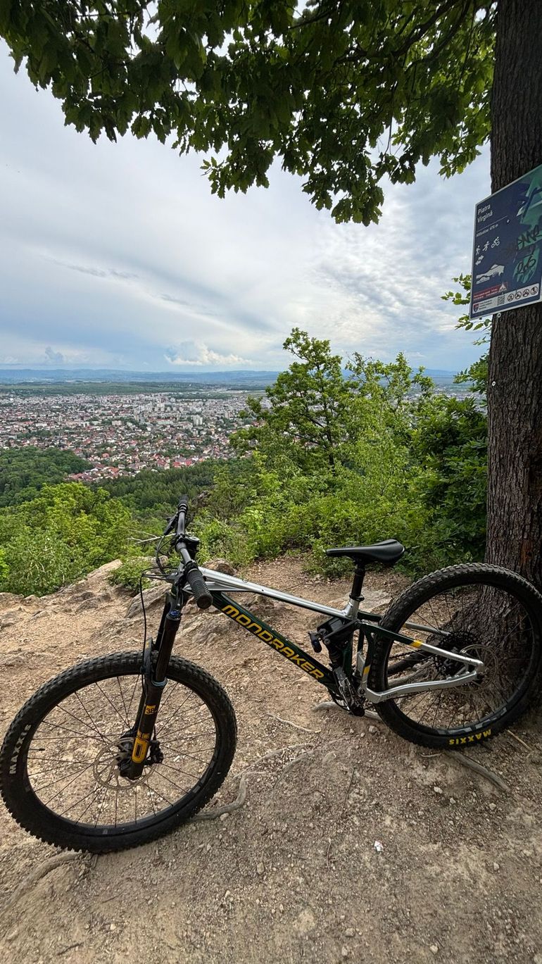 Used Mondraker SUPERFOXY R 2023 2023 Mountainbike, Green, 29 — image 15 of 15