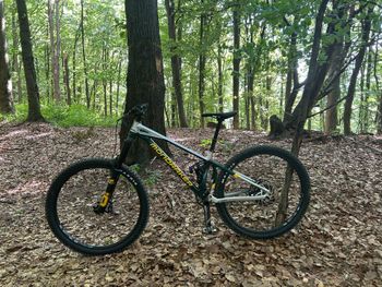Used Mondraker SUPERFOXY R 2023 2023 MTB