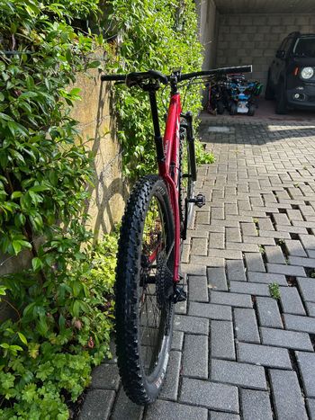 Used Trek Marlin 8 Gen 3 2023 2023 Mountainbike, Red, 26, 27.5, 29 — image 2 of 6