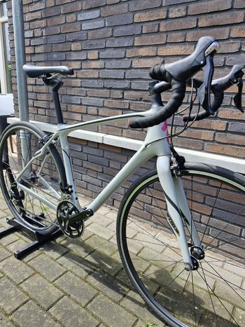 Used Specialized Ruby SL4 Sport - Rim Brake 2017 2017 Road & Gravel, Light Gray — image 2 of 15