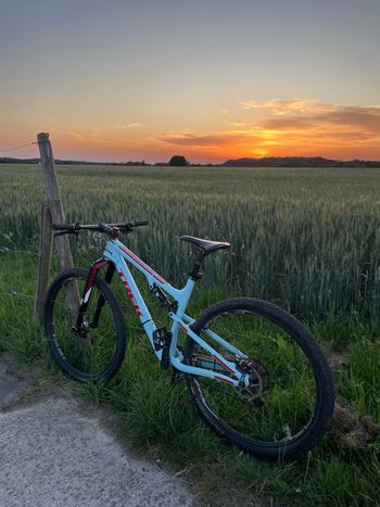 Used Trek Superfly FS 9.9 SL XX1 2015 2015 Mountainbike, Blue, 29 — image 7 of 8
